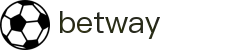 BETWAY·必威(西汉姆联)官方网站-Official Website